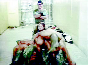 小马拉大车是什么意思网络用语海报