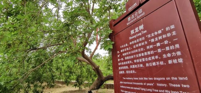 在线视频打电话 线视确认彼此灵魂的频打轮廓