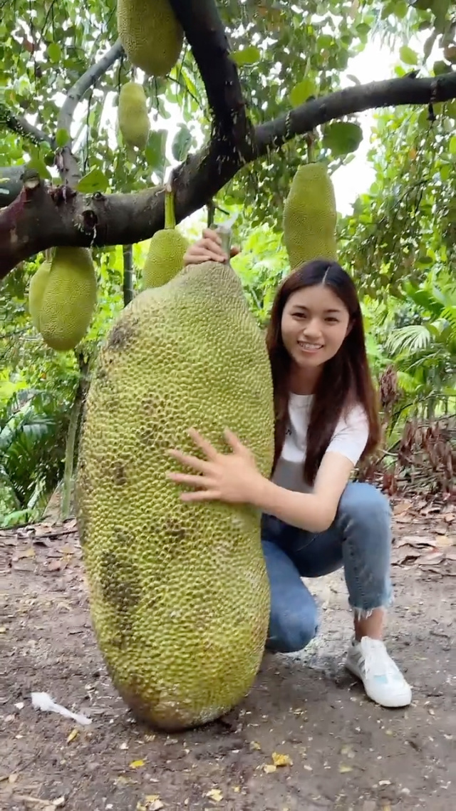 日韩在线蜜桃 日韩或许我们自己就是线蜜