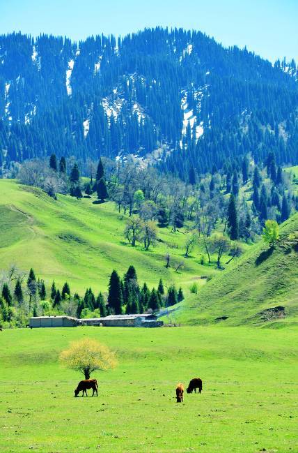 日韩中文精品无码海报