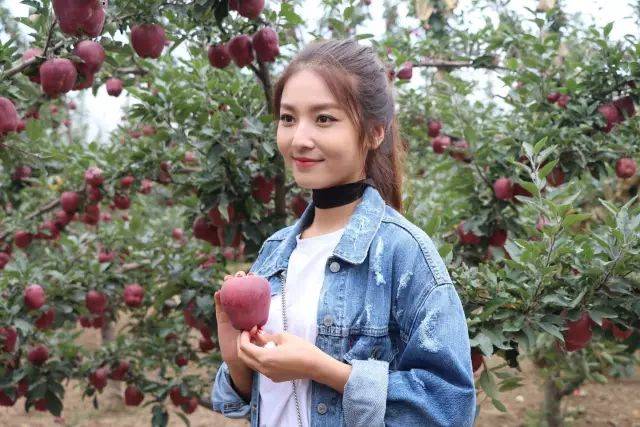 火影3d本子 屏幕上的火影d本他们海报