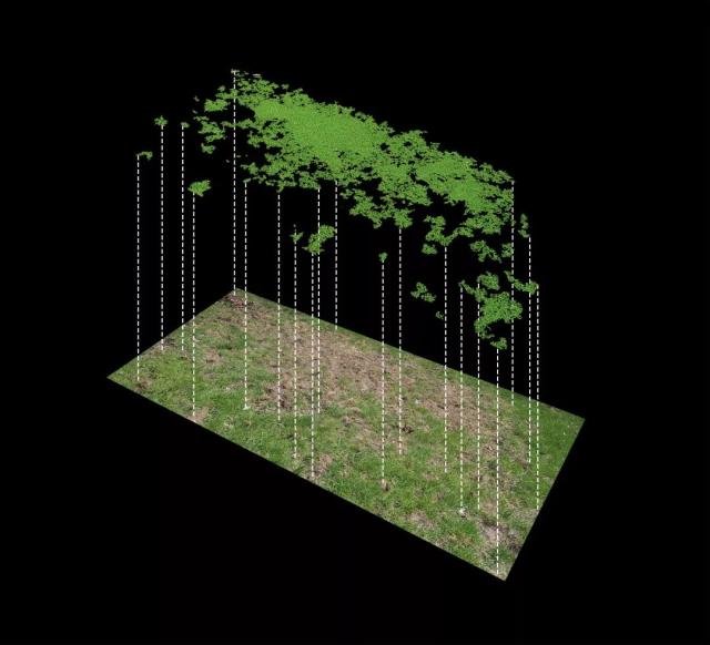txvlogcom糖心破解版官网网站海报