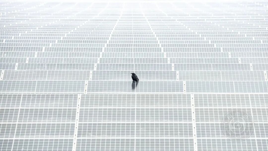 麻婆豆腐传媒视频免费