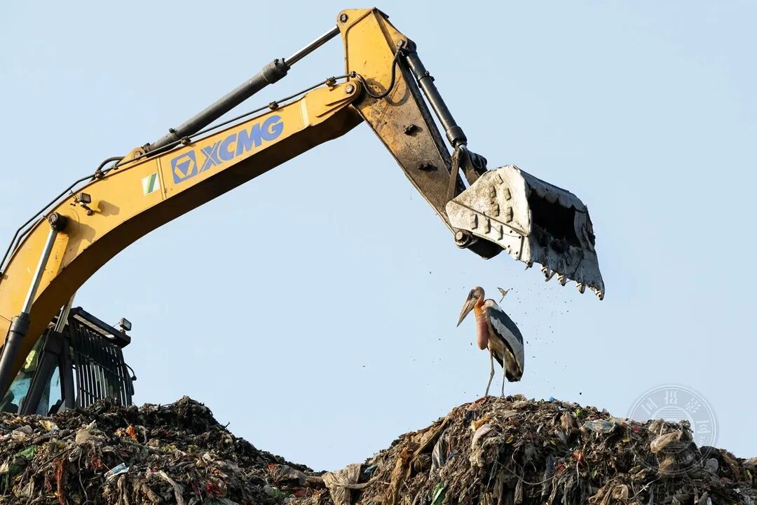 东京热超清海报