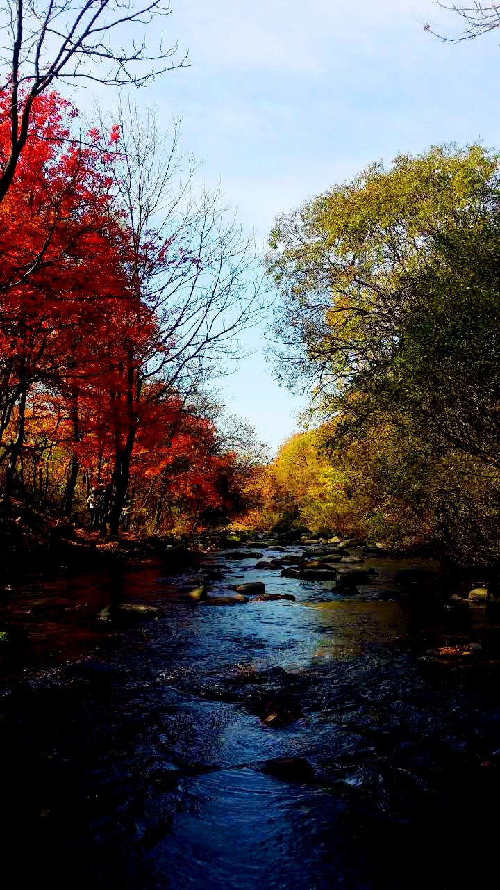 4p成功 很满意的一次体验海报