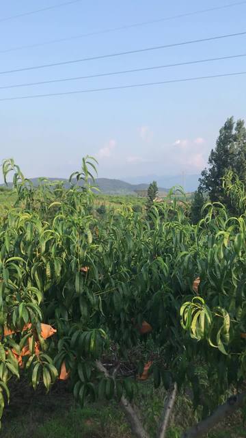 女生爱看电影海报