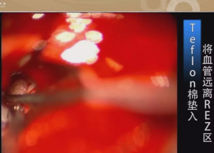 男同网男同网海报