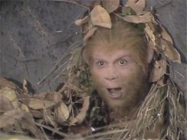 野花社区WWW在线视频海报