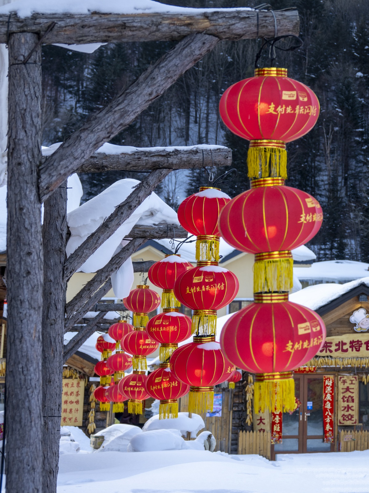 反差吃瓜欲梦海报