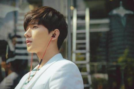 播种的欧豆桑在线观看海报