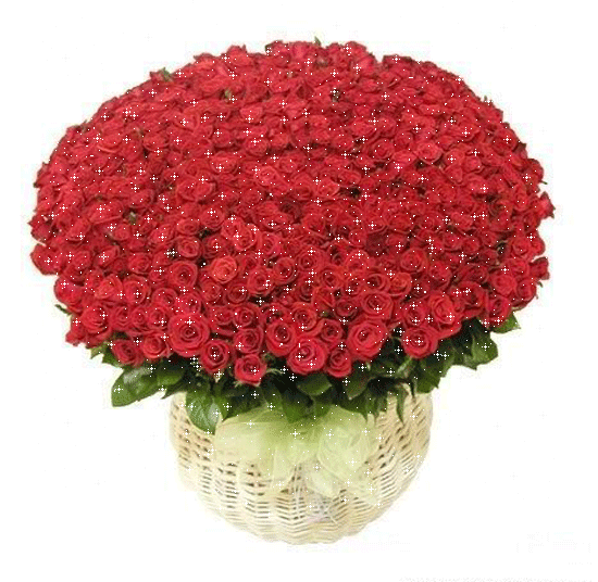 抖音香香公主和爱犬事件海报