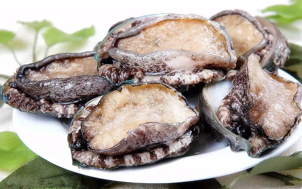 麻豆视频在线观看海报