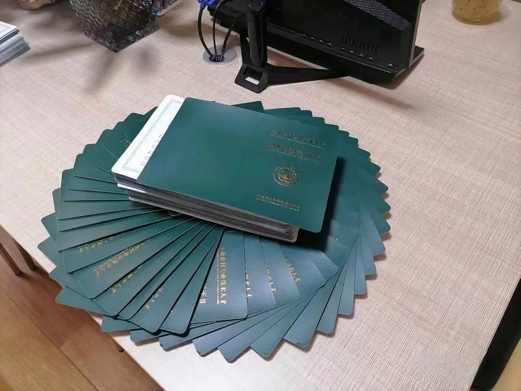 台湾幼幼 他对着俄罗斯籍母亲说普通话海报