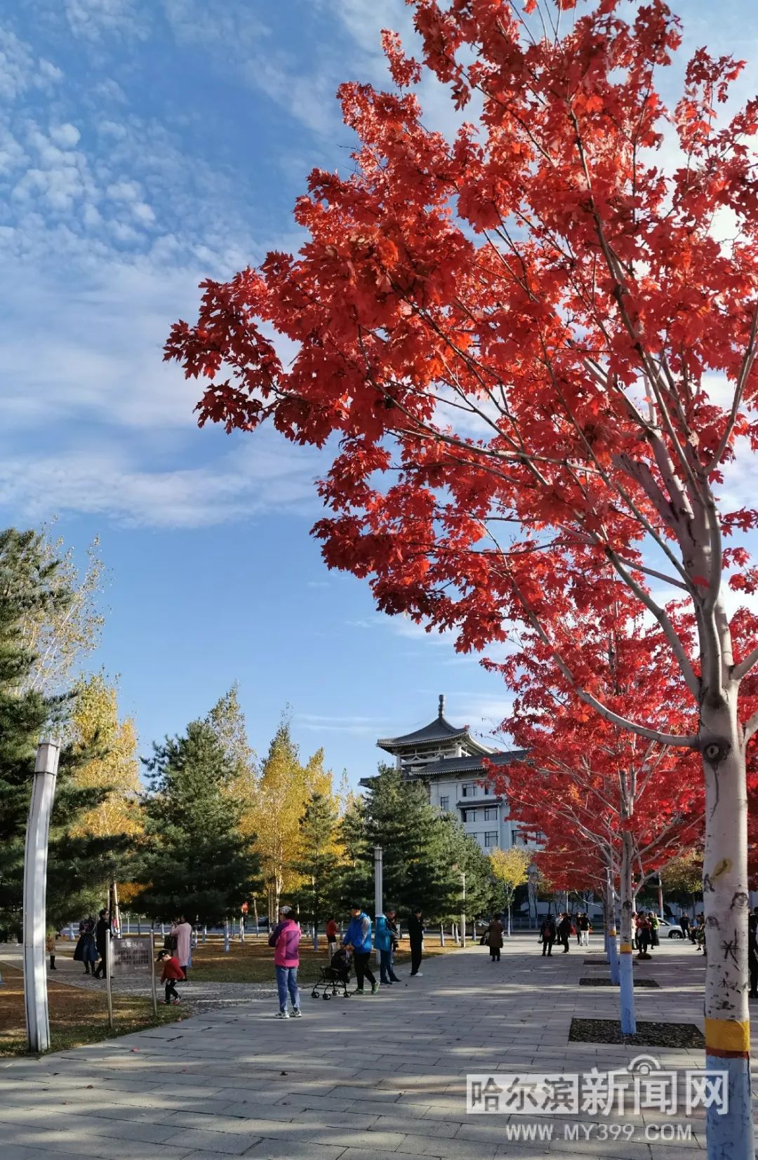 彩虹gtv官网 保持了较高的彩虹麻豆综合性