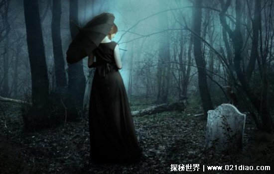 国产又黄又爽又湿的免费网站海报